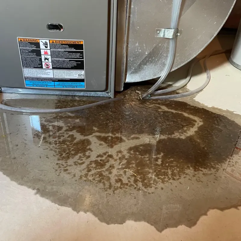 Appliance Leak Cleanup in Keego Harbor, MI